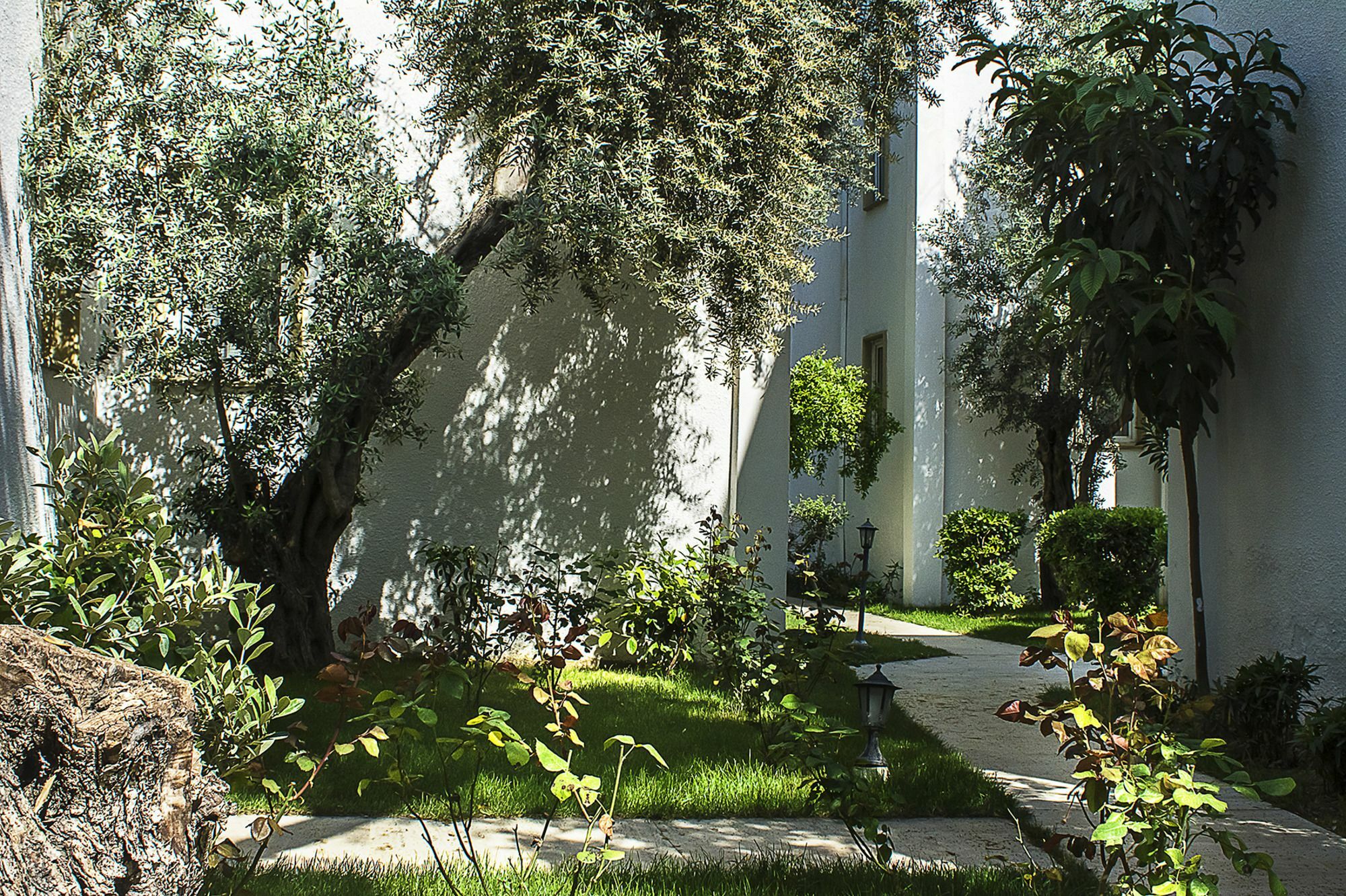 Hotel Princess Diltua Αλικαρνασσός Εξωτερικό φωτογραφία