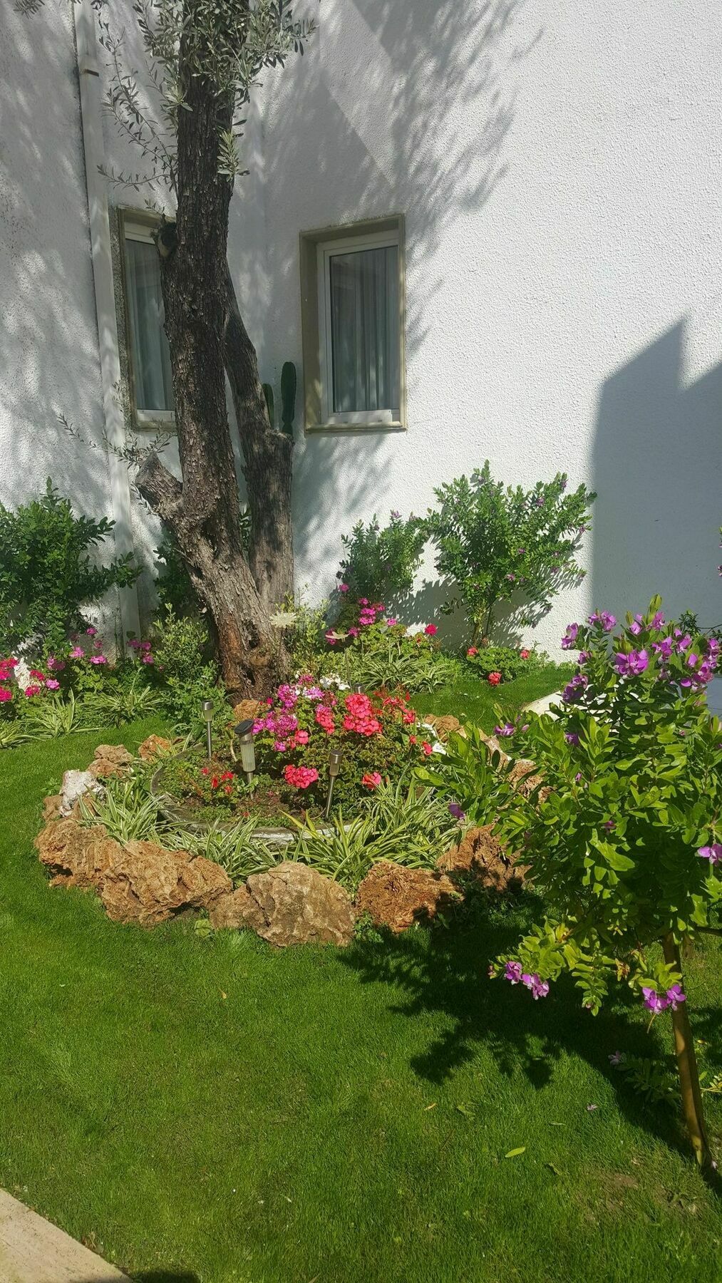 Hotel Princess Diltua Αλικαρνασσός Εξωτερικό φωτογραφία
